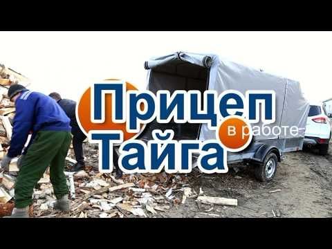 Тайга в работе