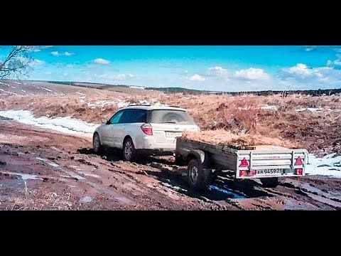 Subaru с прицепом на бездорожье. Прицеп на охоте на гуся. ЦЛП АРИВА